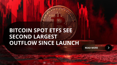 Bitcoin Drops Below $95K as Spot ETFs Log Second-Largest Outflows Ever